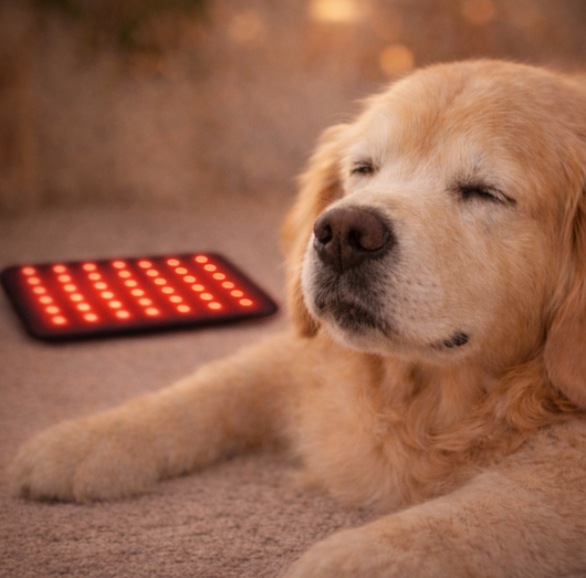 GoodDays Red Light Therapy Pad
