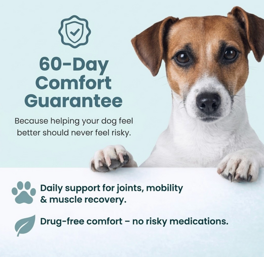 GoodDays Red Light Therapy Pad