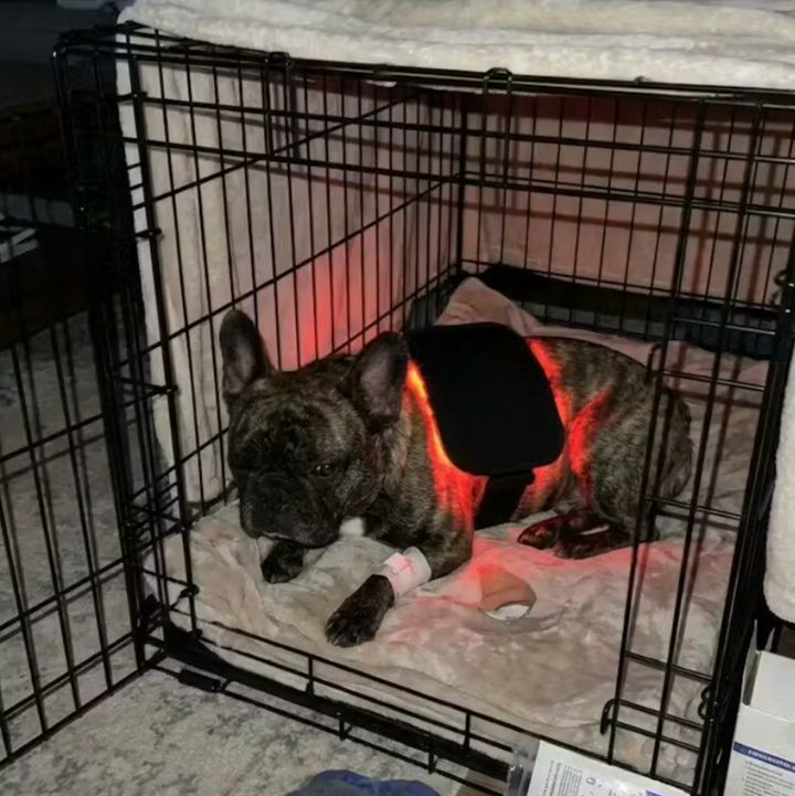 Review by Marissa. B