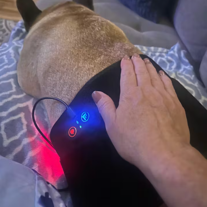 Review by Valentina R.